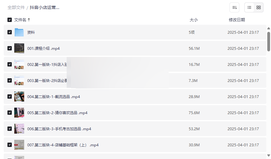 《抖音小店运营零基础入门到精通全套精细化教程》免费网盘资源下载-云盘资源分享