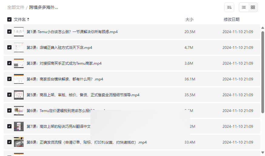 《Temu跨境开店12天速成实操课》免费网盘资源下载-云盘资源分享
