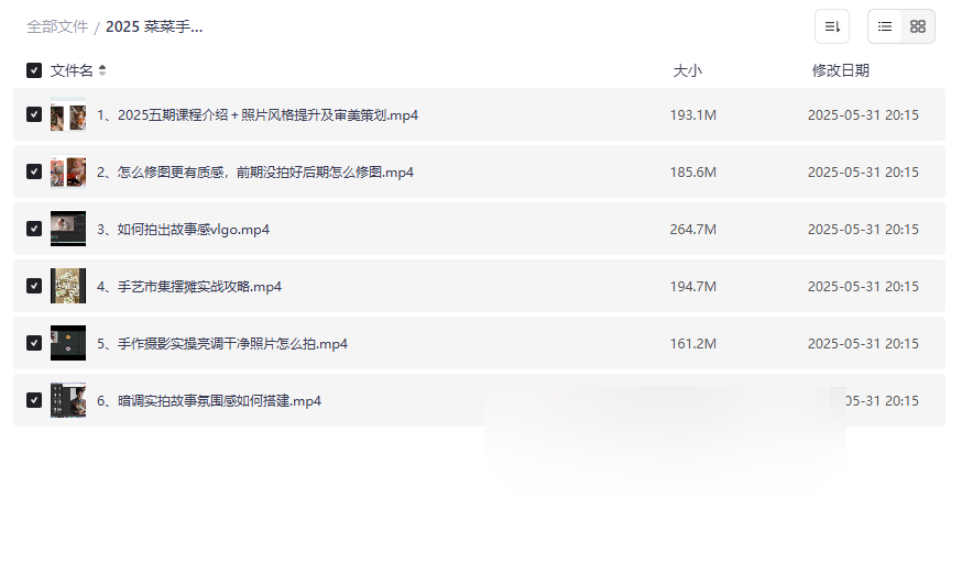 《2025 菜菜手作专业摄影训练营》高清网盘资源免费下载-云盘资源分享