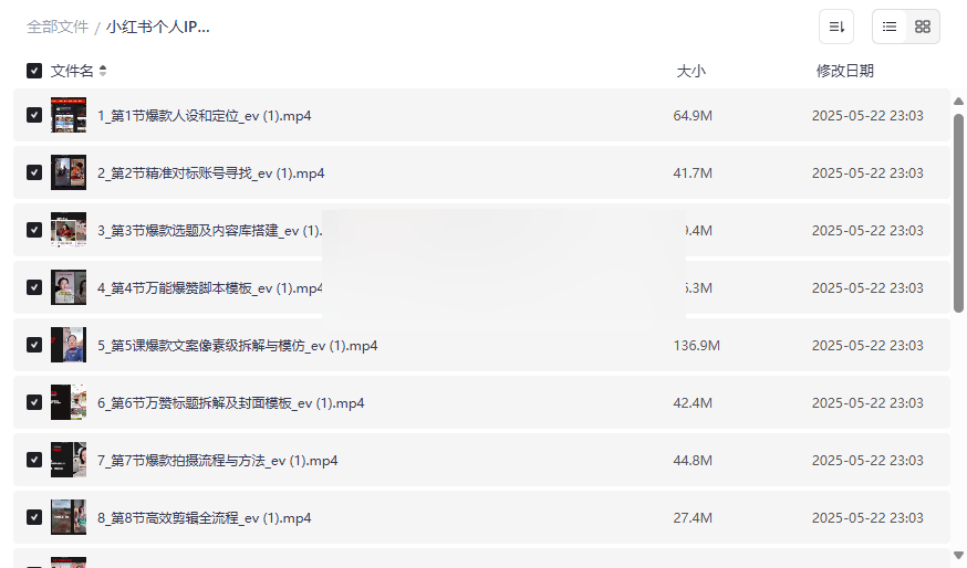 《小红书个人IP陪跑课程》免费网盘资源下载打造百万博主变现秘籍-云盘资源分享