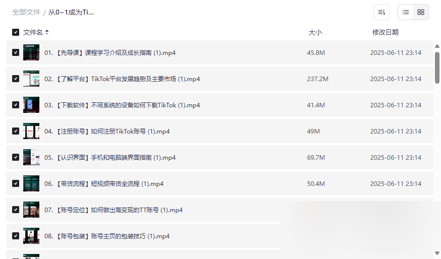《从0~1成为TikTok达人运营实操》完整网盘资源下载-云盘资源分享