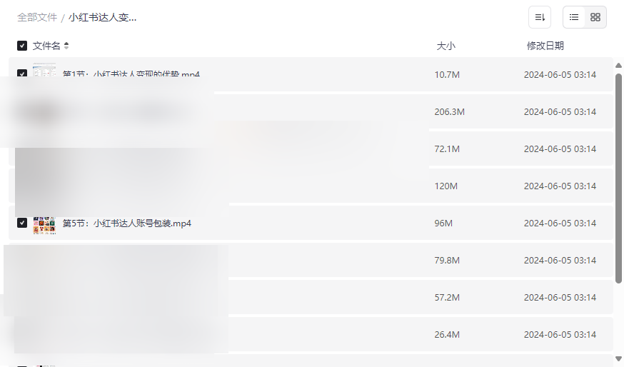 《小红书达人变现项目实操指南》免费网盘资源下载月入3000+副业秘籍-云盘资源分享