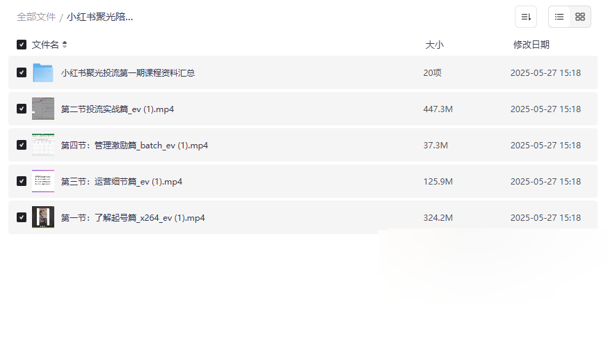《小红书聚光投流陪跑实战课程》付费广告投放资源下载-云盘资源分享