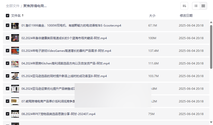 《2024跨境电商选品与运营优化实战指南》网盘资源免费下载-云盘资源分享