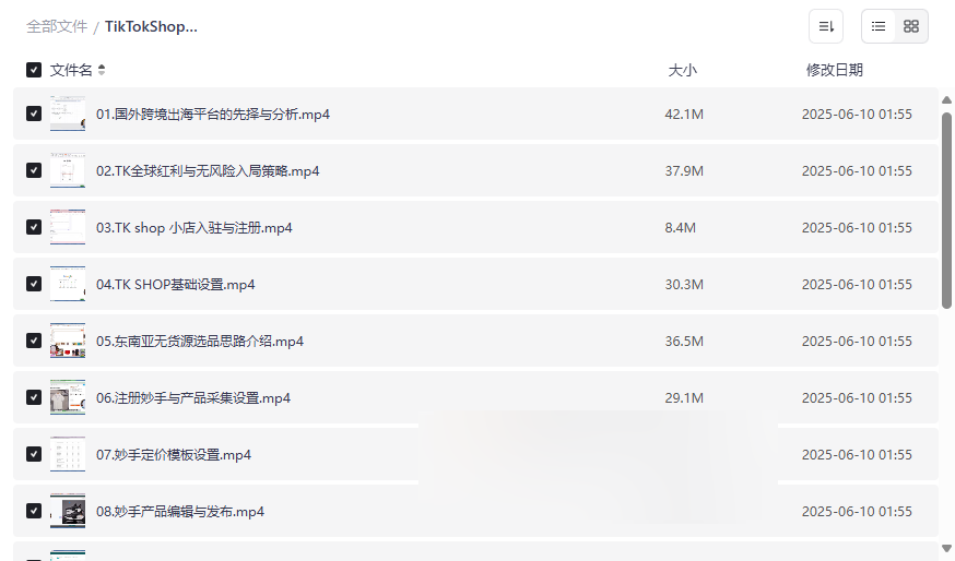 《TikTok Shop跨境电商0-1实战全链路资源》免费网盘下载-云盘资源分享