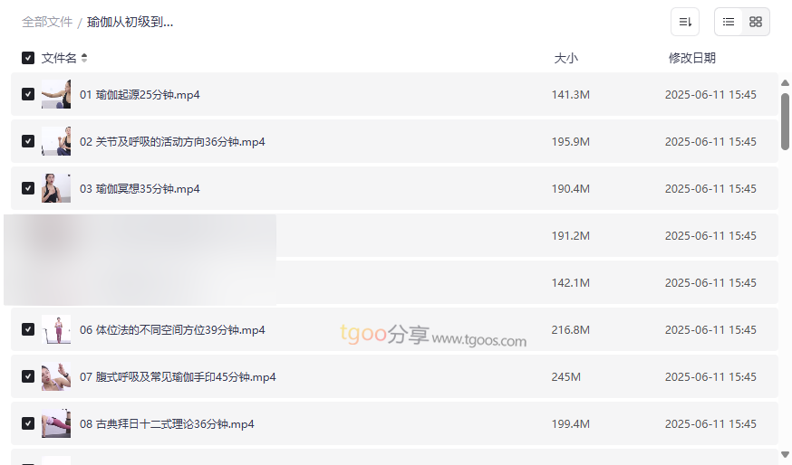 《瑜伽从初级到高级100课》完整网盘资源下载-云盘资源分享