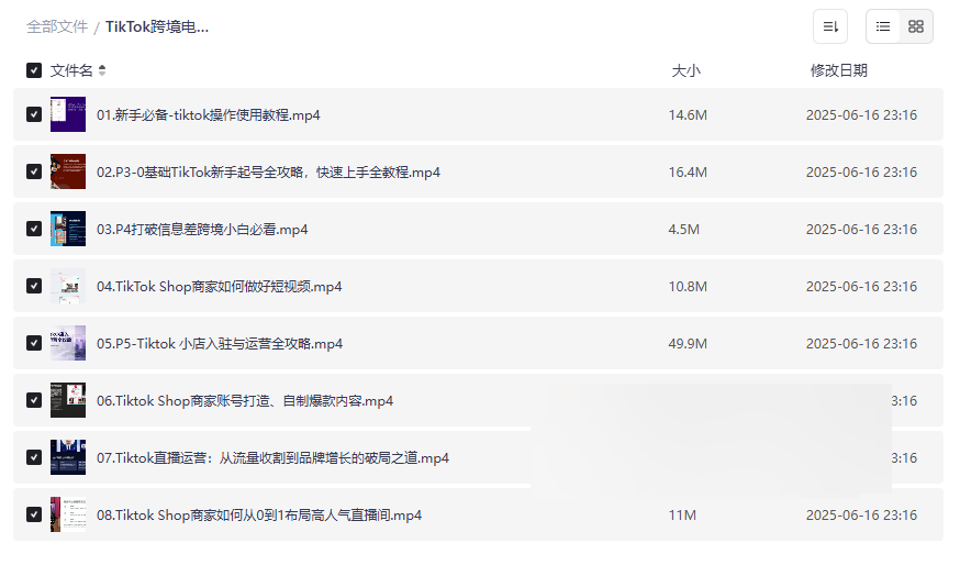 《TikTok跨境电商新手起号与运营全攻略》免费网盘资源下载-云盘资源分享
