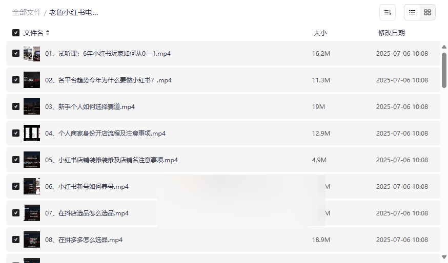 《老鲁小红书电商带货课程实操》全套资源免费下载从0到1变现指南-云盘资源分享