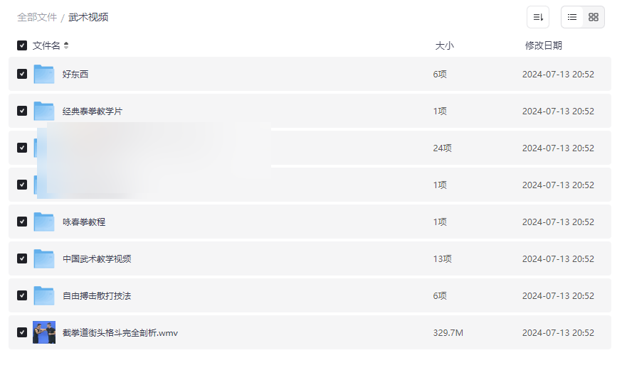 《特种兵格斗术+泰拳+咏春拳》武术视频合集网盘资源下载-云盘资源分享