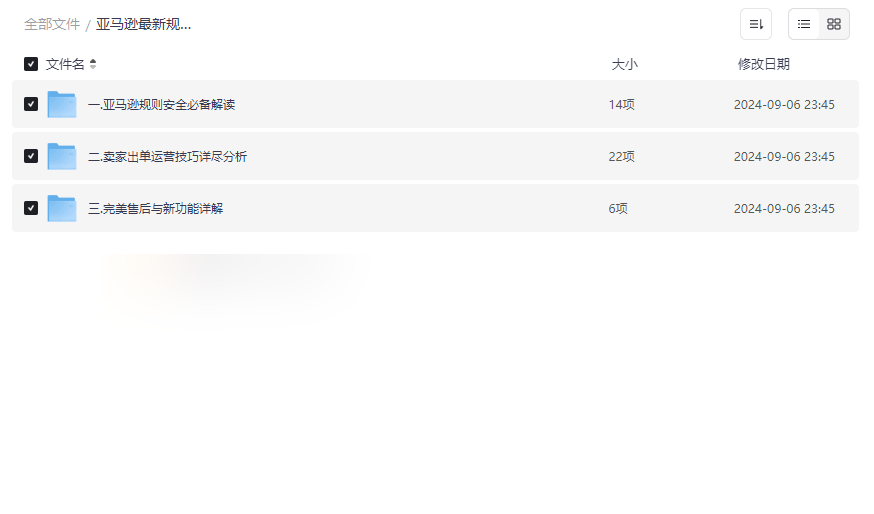 《亚马逊最新规则解密与出单技巧》实战运营资源包下载-云盘资源分享