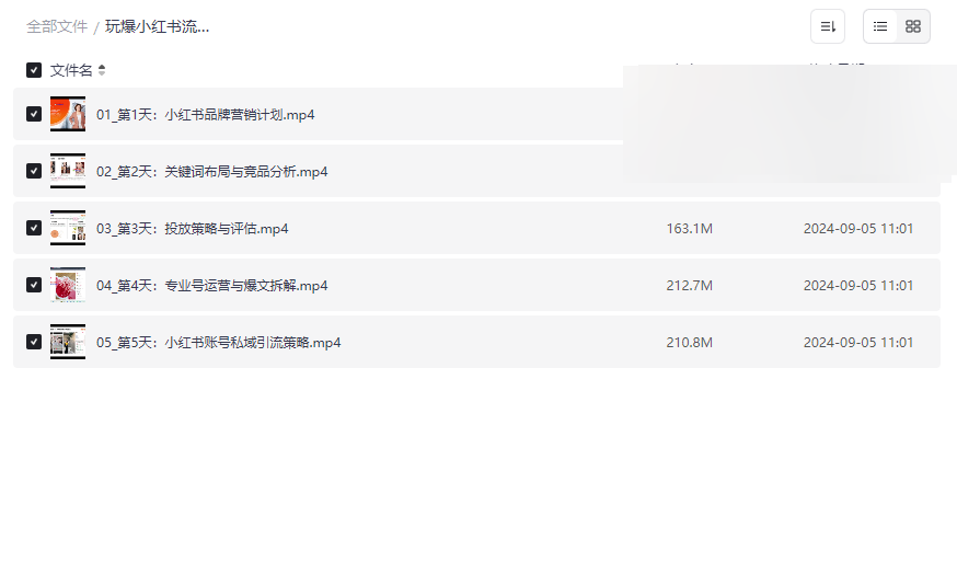 《玩爆小红书流量实战班》完整网盘资源下载-品牌营销与私域引流实战指南-云盘资源分享