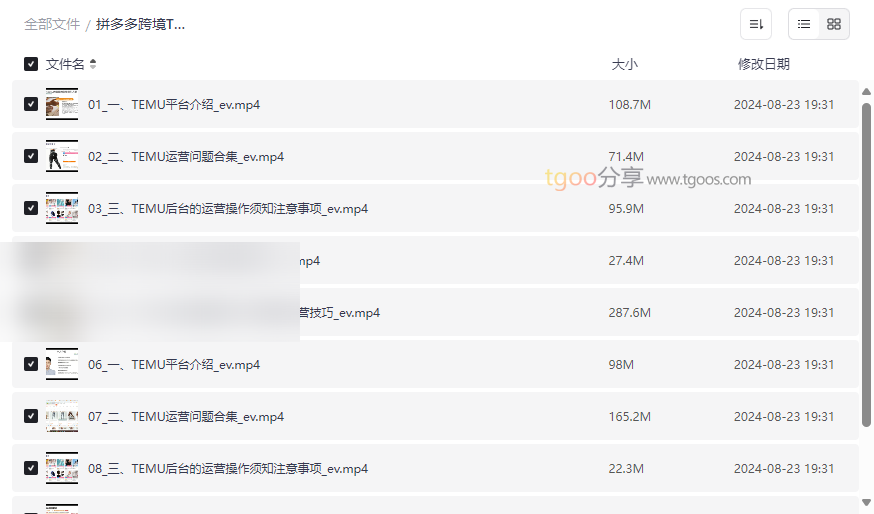 《拼多多跨境TEMU爆单实操培训班》免费网盘资源下载-云盘资源分享