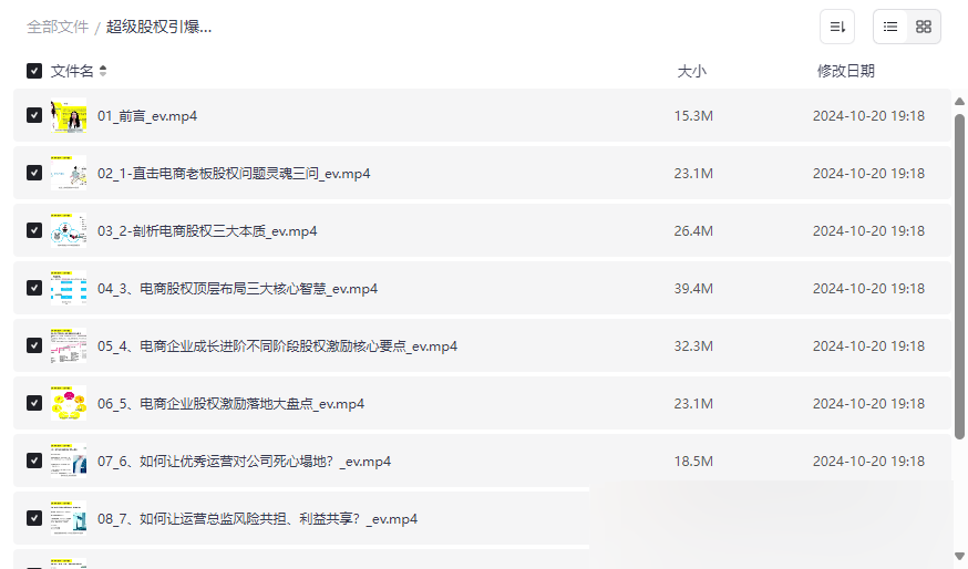 《电商股权设计与激励10堂线上课》免费网盘资源下载-云盘资源分享