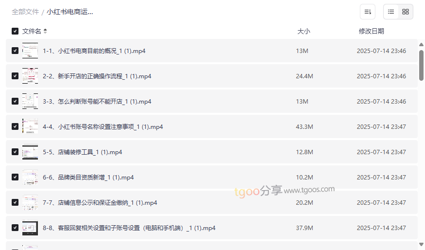 《小红书电商运营0-1实战教程》免费网盘资源下载-云盘资源分享