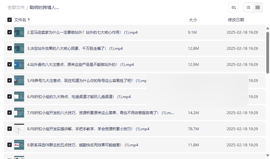 《亚马逊站外运营实战课》高效引流与销量增长秘籍免费下载-云盘资源分享