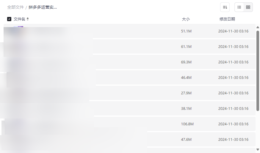 《拼多多运营实战班》电商实战课程网盘资源下载-云盘资源分享
