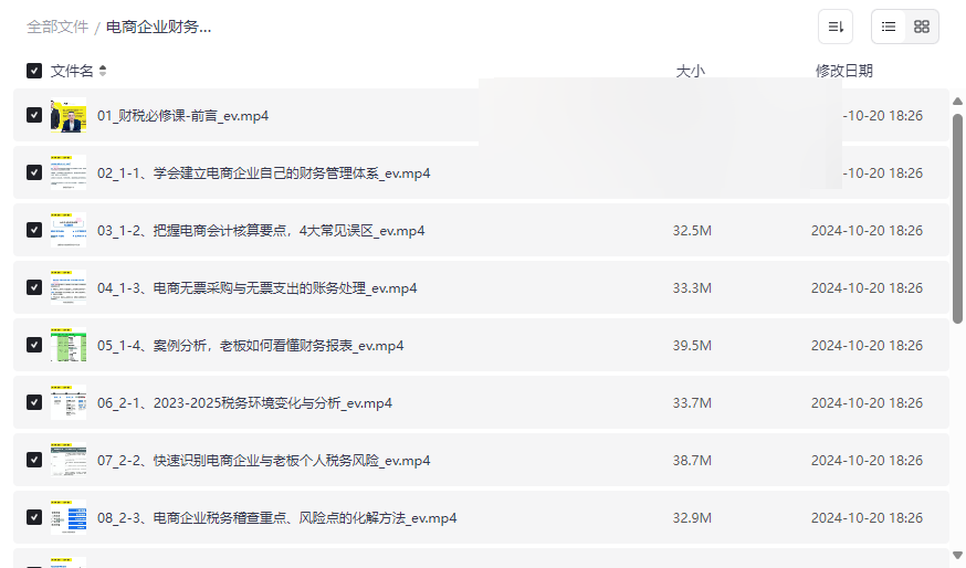 《电商企业财务管理线上课》2024最新财税合规实操指南网盘下载-云盘资源分享