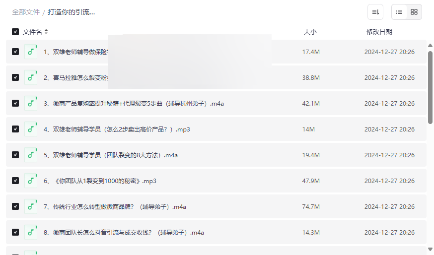 《引流转化团队系统实战资源包》免费网盘下载，微商实体店业绩翻倍秘籍-云盘资源分享