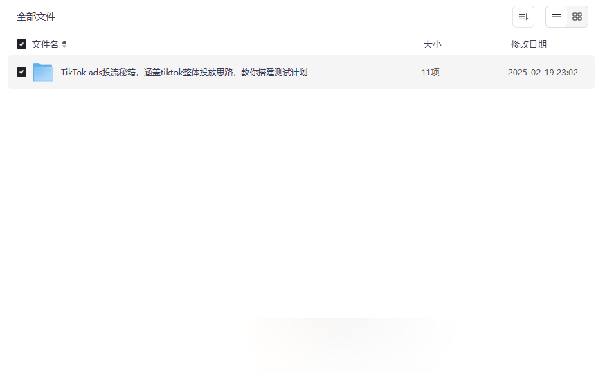 《TikTok广告投放全攻略》实战教程网盘资源下载-云盘资源分享
