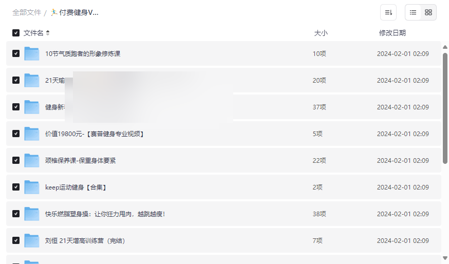 《付费健身VIP课程大合集》网盘资源下载塑形康复增高专项训练全攻略-云盘资源分享