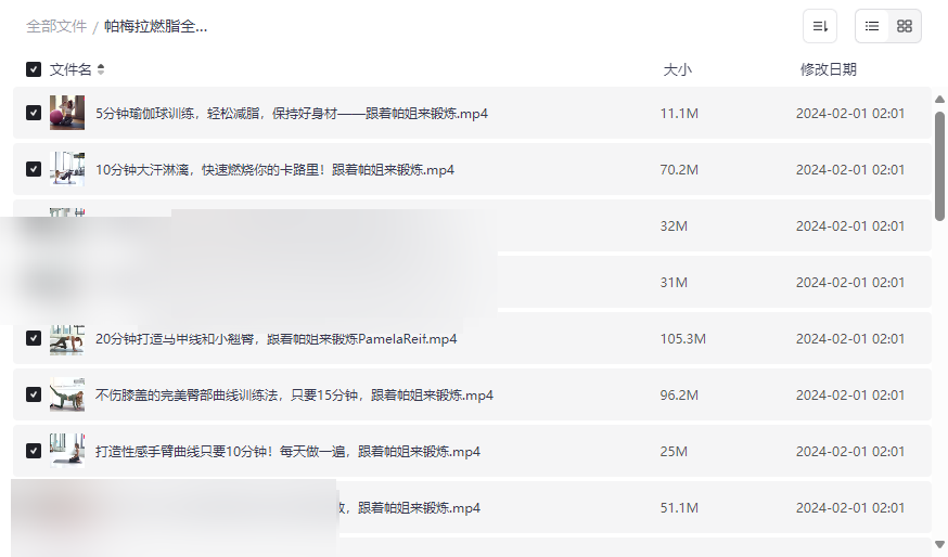 《帕梅拉燃脂全集》高效家庭健身资源免费下载，含51688完整课程-云盘资源分享