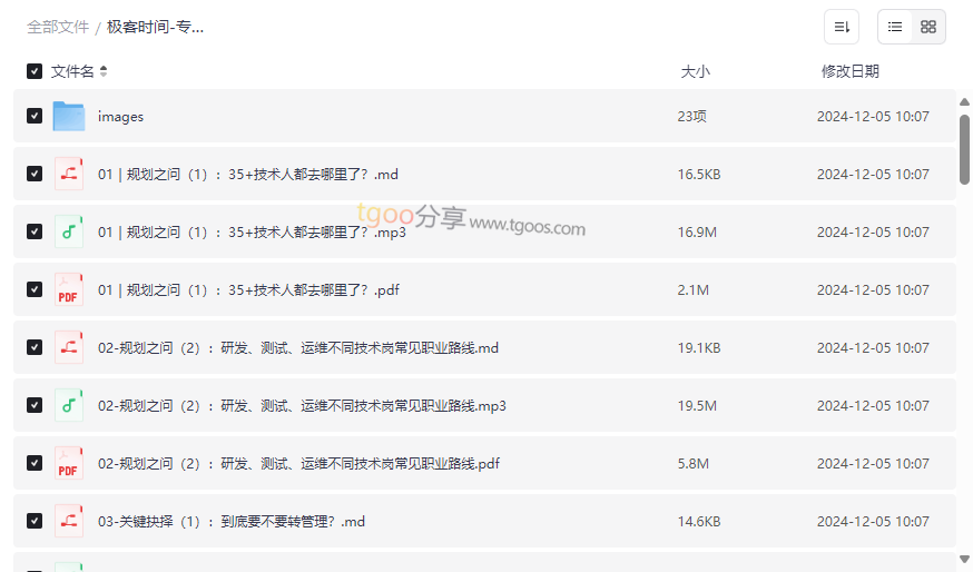 《程序员职业规划手册》极客时间雪梅主讲-职业发展指南网盘资源下载-云盘资源分享