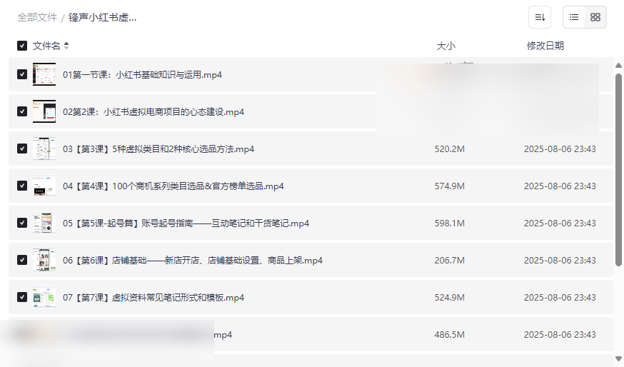 《锋声小红书虚拟电商掘金特训营》完整版网盘资源下载-云盘资源分享