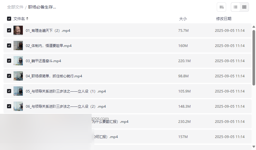 《体制内职场生存法则》进阶经验课网盘资源下载-云盘资源分享