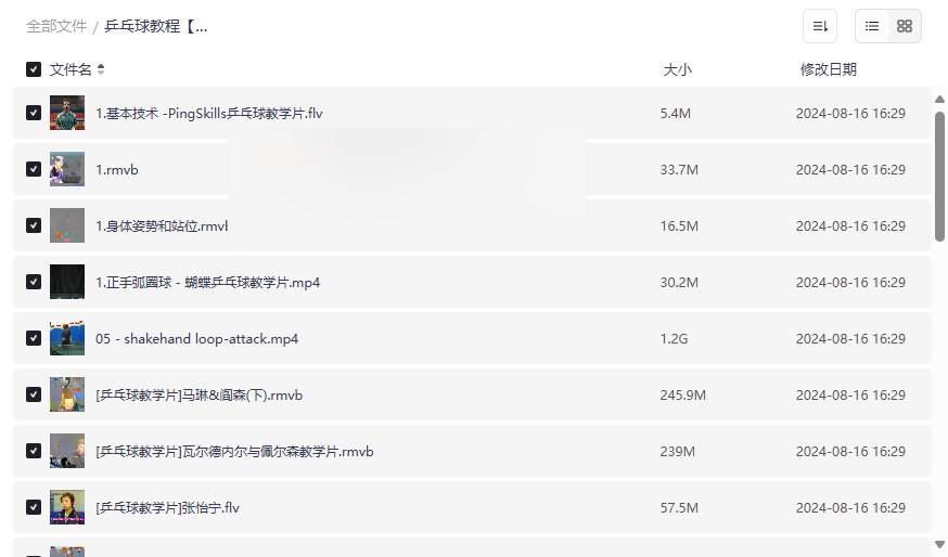 《乒乓球教程大全》世界冠军实战技巧与步法训练网盘资源下载-云盘资源分享