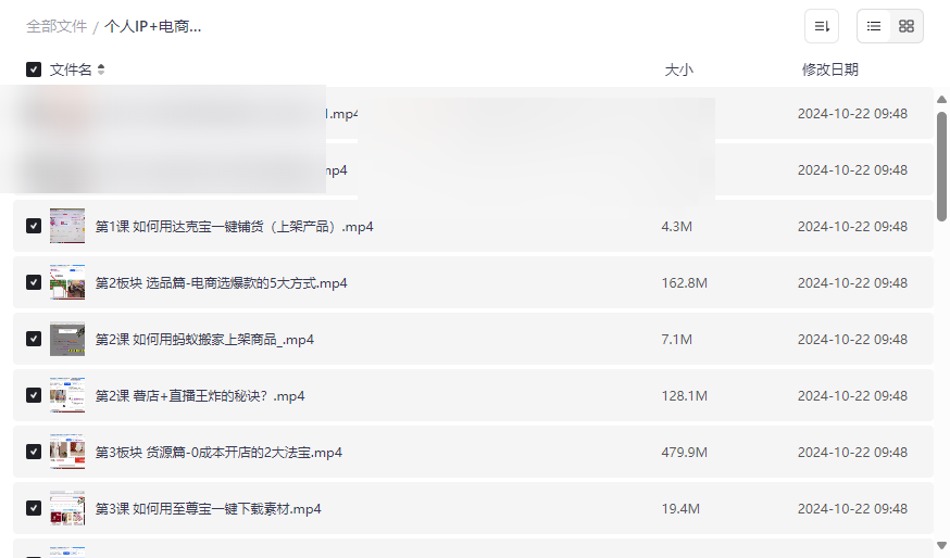 《个人IP+电商自媒体全陪跑营》免费网盘资源下载从0到1打造爆款店铺-云盘资源分享
