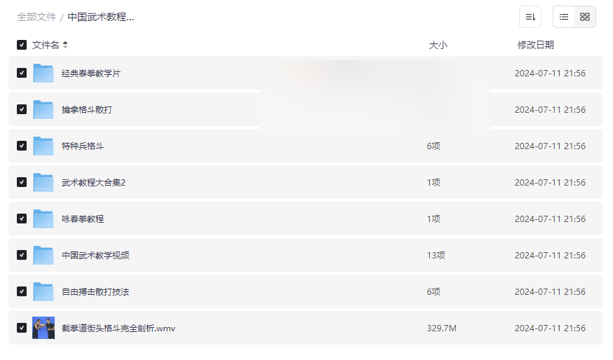 《中国武术教程合集》免费网盘资源下载泰拳/擒拿/咏春/截拳道全收录-云盘资源分享