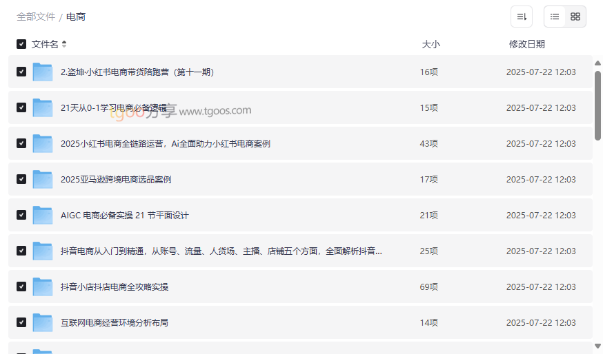 《2025电商实战资源包》小红书抖音TikTok亚马逊拼多多全平台运营课程网盘下载-云盘资源分享