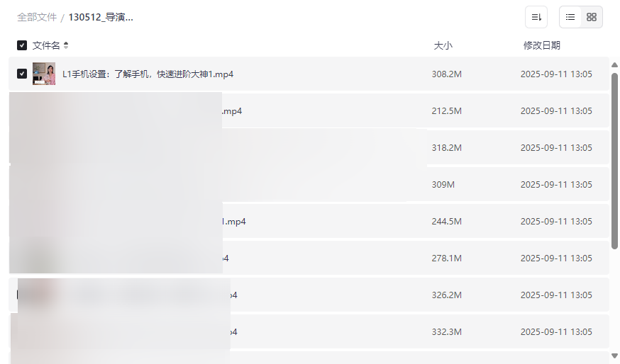 《导演拍摄剪辑核心视频课程》免费网盘资源下载-云盘资源分享