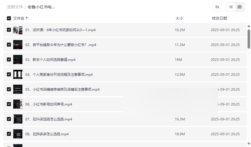 《老鲁小红书电商带货课程实操》完整网盘资源下载-云盘资源分享