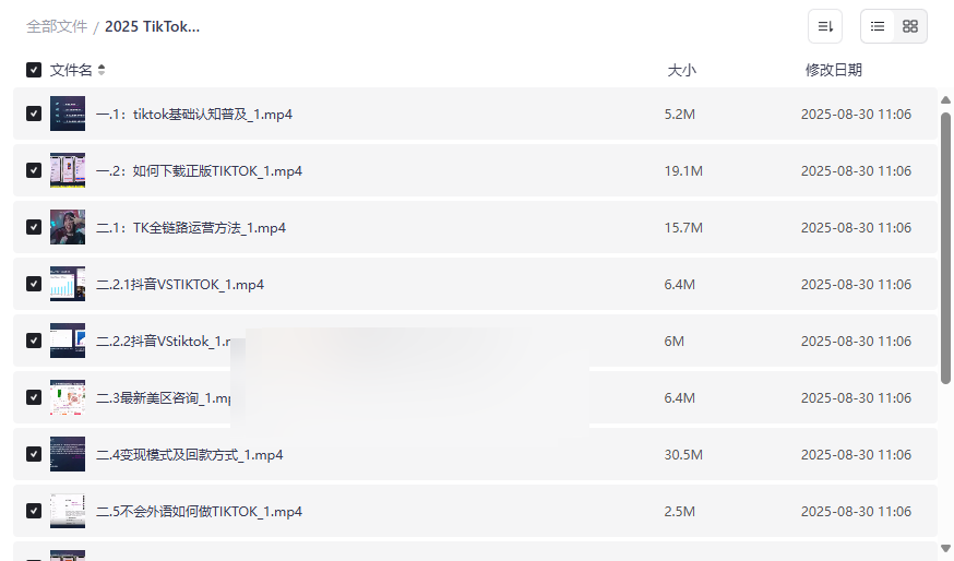 《2025 TikTok美区跨境电商完整解决方案》网盘资源下载-云盘资源分享