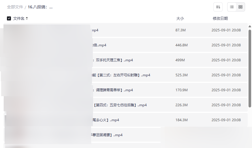 《八段锦养生功法》高清视频教学资源免费下载-云盘资源分享