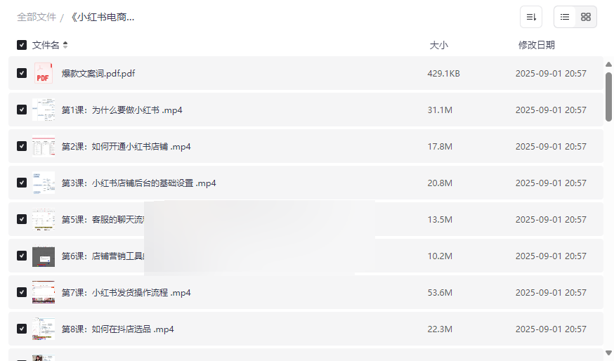 《小红书电商运营从入门到精髓》全流程课程资源免费下载-云盘资源分享