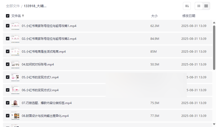 《大晴老师小红书电商全链路实战》完整版网盘资源下载-云盘资源分享