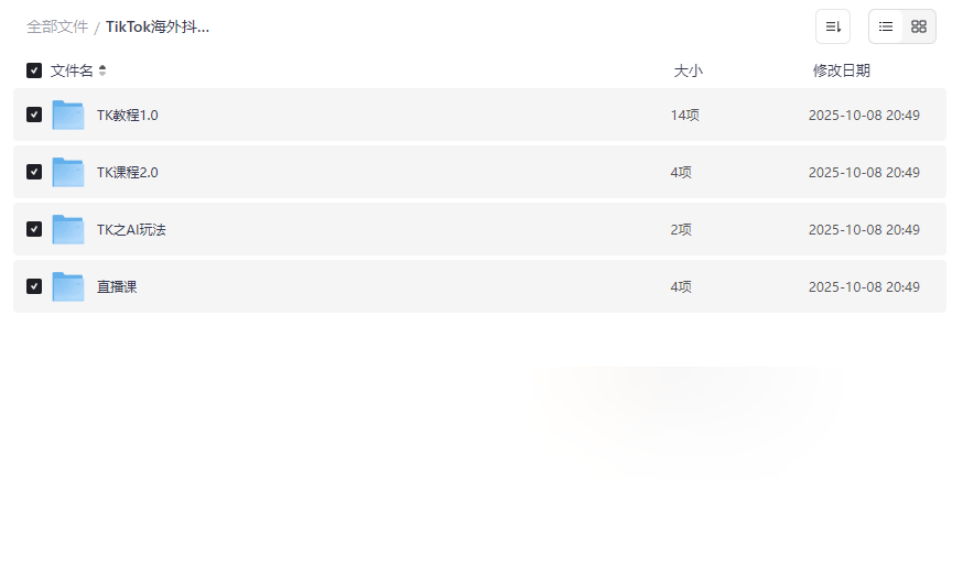 《TikTok海外抖音中视频陪跑课程》全流程变现资源下载-云盘资源分享
