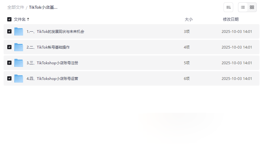《TikTok小店基础认知课》跨境电商新手必备网盘资源下载-云盘资源分享