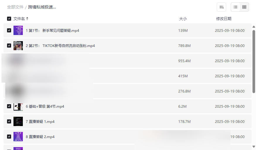 《跨境私域极速成交线上高级课》免费网盘资源下载TikTok运营与AI客服实战-云盘资源分享