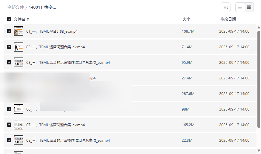 《TEMU跨境电商运营实操培训》全套网盘资源下载-平台解析+爆单技巧-云盘资源分享