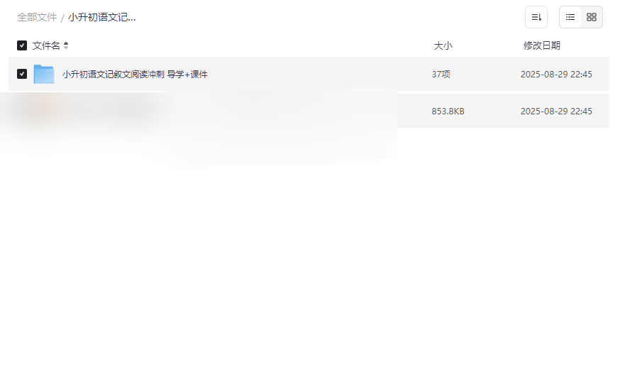 《小升初语文记叙文阅读冲刺》高效备考资源免费下载-云盘资源分享