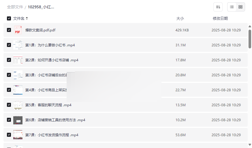 《小红书电商运营从入门到精通》免费网盘资源下载-云盘资源分享