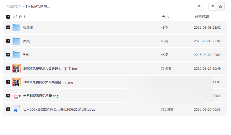 《TikTok电商盈利全攻略》从零起步到提款变现全流程网盘资源下载-云盘资源分享