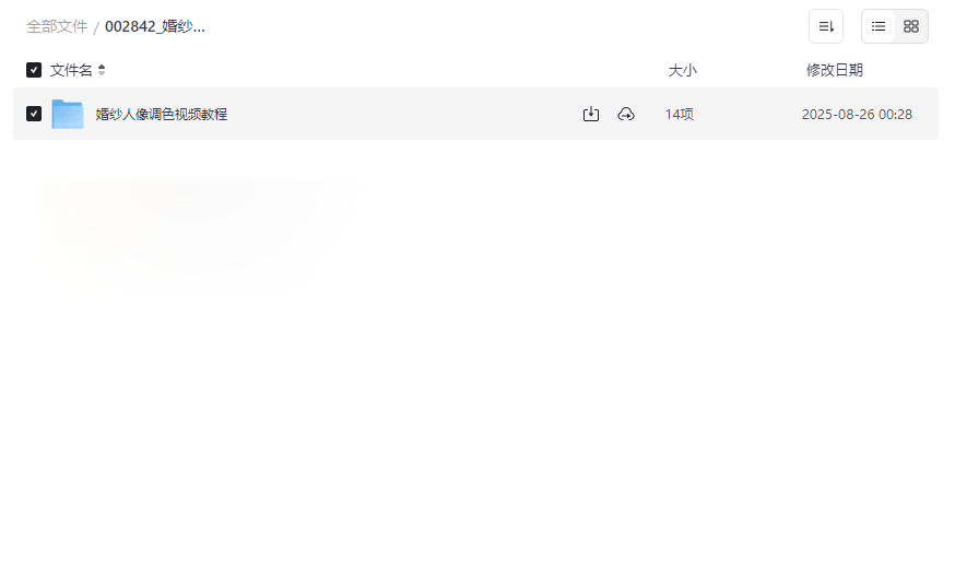 《婚纱人像调色视频教程》免费网盘资源下载旅拍风格+LV专业技法-云盘资源分享