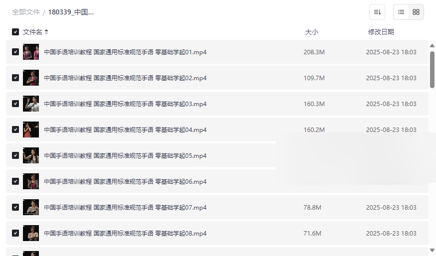 《中国手语培训视频教程》19集国家通用标准规范手语网盘资源下载-云盘资源分享