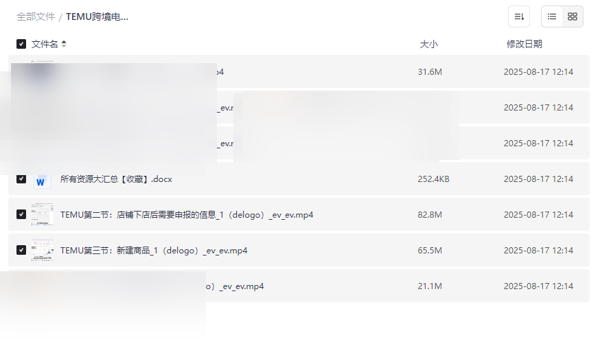 《TEMU跨境电商入门课》零基础入门到实战网盘资源下载-云盘资源分享