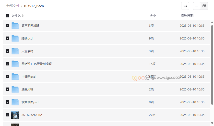 Becho高端商业摄影人像后期精修教程网盘资源下载婚纱修图+小清新风格+油画风格全解析-云盘资源分享