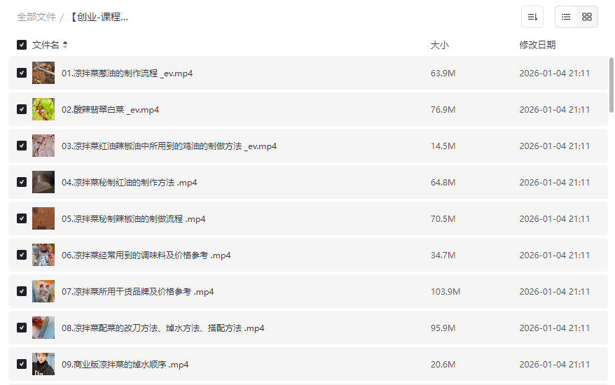 《精品凉拌菜与热卤系列课程》免费网盘资源下载小吃创业必备-云盘资源分享